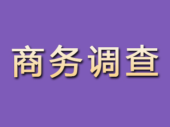 青岛商务调查